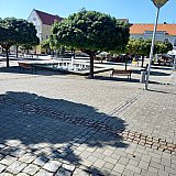 Festival zdravia Novom meste nad V&aacute;hom