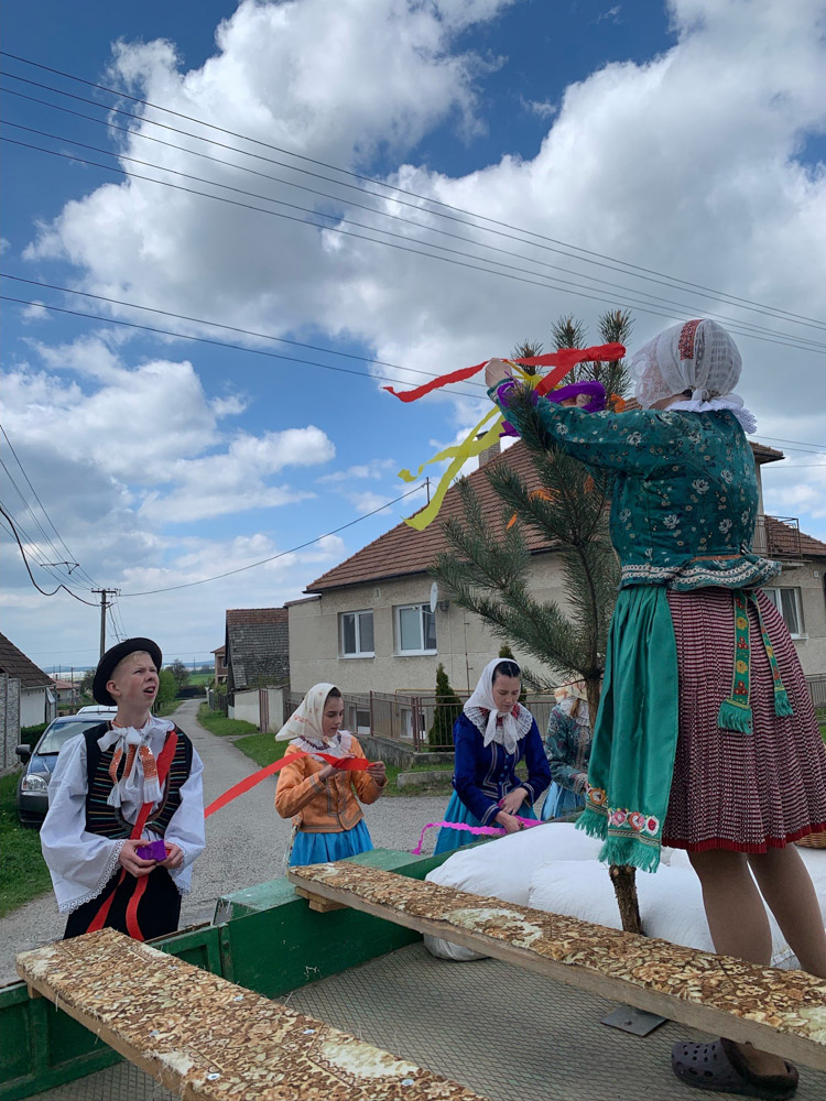 ruzova-tuzka